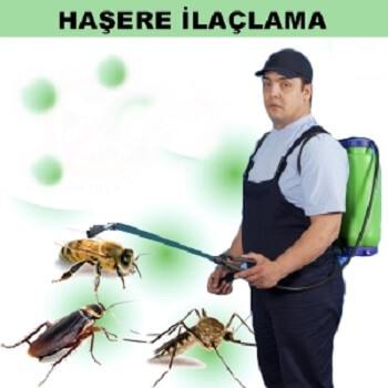 Söğüt Böcek İlaçlama